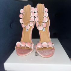 Pink And Blush Pom-Pom Heels Size 6 New Inbox Nib Pom Pom Heels, Pink Pom Pom, Beautiful Shoes, Shoes Women Heels, Pink Ladies, Pom Pom, Shoes Heels, Blush, Size 6