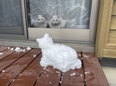 two white cats sitting in the window sill with snow on the ground next to them