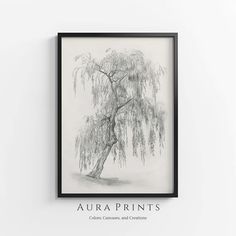 a black and white drawing of a tree with the words aura prints written below it