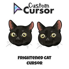 two black cats with yellow eyes and the caption, frightened cat cussor