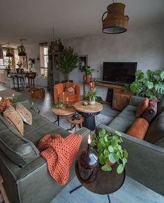 a living room filled with furniture and lots of plants