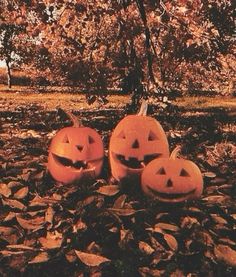 four carved pumpkins sitting on the ground in front of a tree with leaves around them