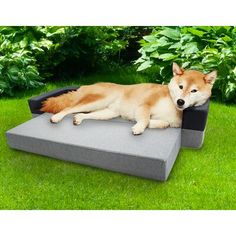 a dog laying on top of a gray and black bed in the middle of some grass