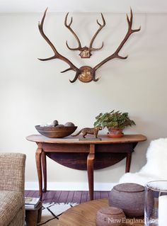 a deer head mounted on the wall above a table