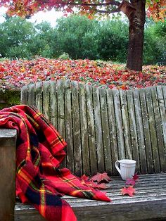 a blanket and cup sitting on a wooden bench in the fall leaves near a fence