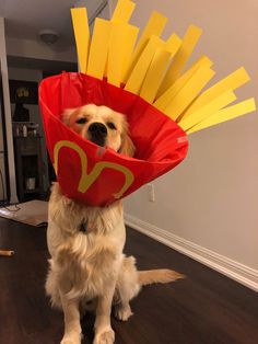 a dog wearing a red hat with yellow sticks sticking out of it's mouth