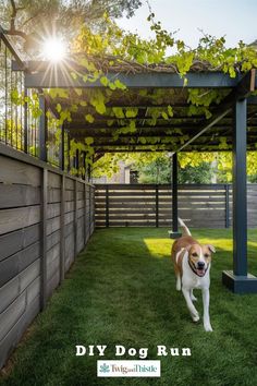 a dog is walking in the grass under a pergolated area with sun shining on it