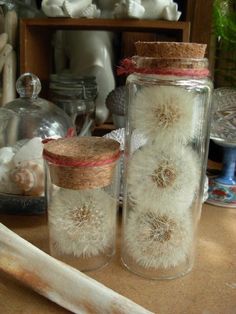 two jars with dandelions in them sitting on a table next to other items