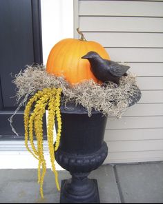 a black bird sitting on top of a planter filled with hay and a pumpkin