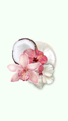 pink orchids and coconut on a white plate