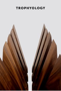 two wooden books with the words trophyology on top and bottom, in front of them