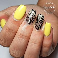 GEL COLOUR Hanna Banana▪LEAF Gold▪GEL PAINT Black▪NEW Like A Diamond••@scratchmagazine @nailpromagazine #zebraprint #zebraprintnails #animalprintnails #yellownails #nails # #gelnails #nailtech #nailartist #nailart #nailenvy #notd #gelnailart  #nailpro #naildesigns #nailswag #nailsoftheday #nailporn #nailstyle #freehandnailart #nailinspo #notd #goldleafnails Zebra Print Nails, Classy Nail Art, Classy Nail, Minimalist Nail, Minimal Nails Art, Gel Paint, Chic Nail Art