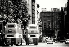 two green and yellow double decker buses driving down a street in front of tall buildings