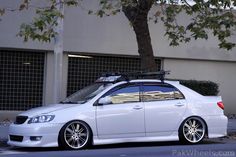 a white car parked in front of a tree with skis on it's roof