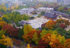 an aerial view of a building surrounded by trees with fall foliage in the foreground