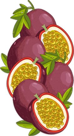 pomegranates with leaves and seeds on white background - kosten stock - illustrations