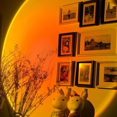 two stuffed animals sitting next to each other in front of a wall with pictures on it