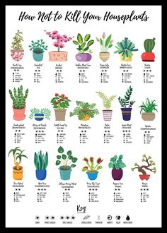 a poster with different types of houseplants and their names in black frame on white background