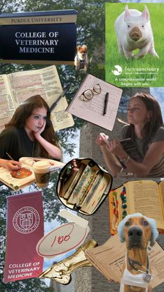 collage of photos with dog, books and other items in them that include an animal