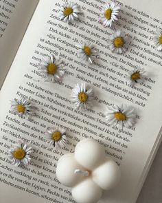 the book is open and has daisies on it, with one flower pinned to the page