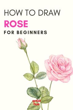 how to draw rose for beginners