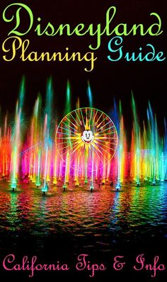 the disneyland flamingo guide is shown in front of a water fountain with colorful lights