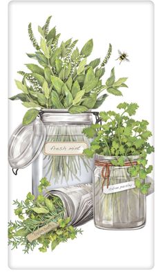 a painting of herbs in mason jars on a white background with an insect flying over the jar