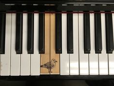 a bird is sitting on the keys of an old, black and white piano keyboard