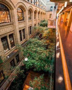 an indoor courtyard with lots of trees and plants on the walls, along with stairs leading up to two story buildings