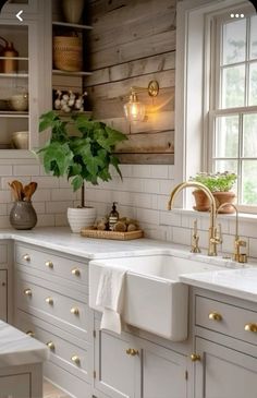 a kitchen with white cabinets and gold hardware on the handles, sink, countertop, and potted plant