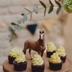 cupcakes with yellow frosting and a horse figurine