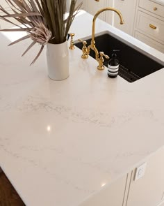 a kitchen counter with a sink, faucet and potted plant in it