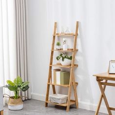 a wooden ladder leaning against a white wall next to a desk with a potted plant on it