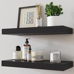 two black shelves with different types of items on them and a potted plant in the corner