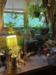 a table topped with lots of plants next to a window