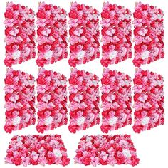 many pink flowers are arranged in rows on a white background