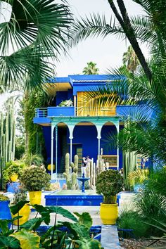 a blue and yellow house surrounded by palm trees in front of some green plants on either side of the building