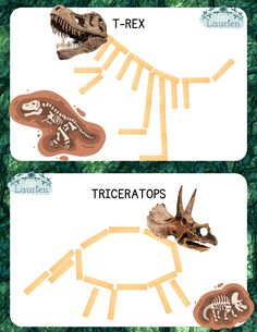 two pictures of different types of dinosaurs and their skeleton bones, with the words tricerats on them