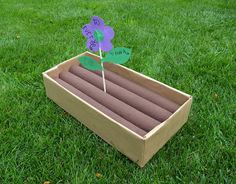 an open cardboard box on the grass with a purple flower in it and two green leaves