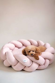 a brown dog laying on top of a pink pillow in the shape of a knot