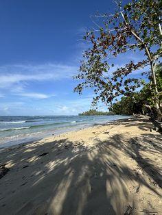 an empty beach with trees and the ocean in the background