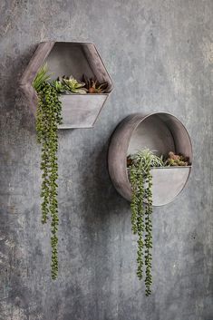 two planters with plants growing out of them