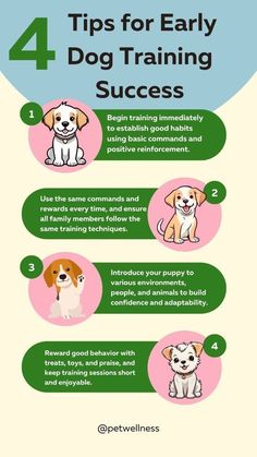 four tips for early dog training that are easy to follow in order to learn how to train them