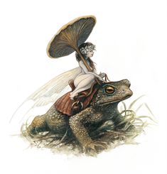 a fairy riding on the back of a frog