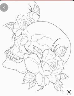 a drawing of a skull with roses on it