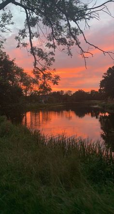 the sky is pink and orange as the sun sets over a lake with trees in the foreground