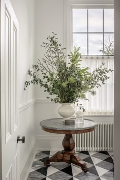 a potted plant sitting on top of a wooden table in front of a window