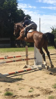 a person jumping a horse over an obstacle