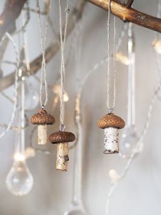 three wine corks hanging from a tree branch