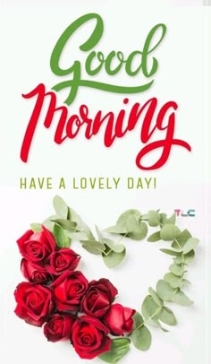 good morning have a lovely day with red roses and green leaves in the shape of a heart